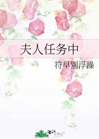 《夫人任務中》