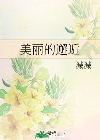 《美麗的邂逅》