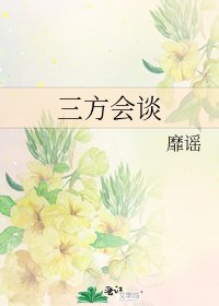 三方會談