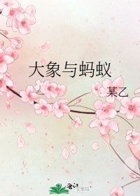大象與螞蟻