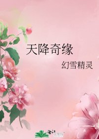 天降奇緣