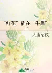 “鮮花”插在“牛糞”上