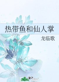 熱帶魚和仙人掌