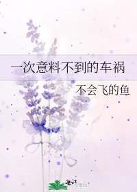《一次意料不到的車禍》