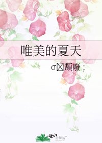 唯美的夏天