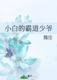 小白的霸道少爺