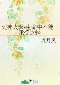 死神火影-生命中不能承受之輕
