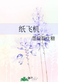 紙飛機
