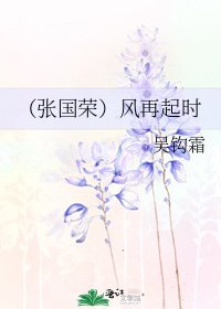 (張國榮)風再起時