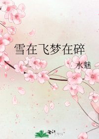 雪在飛夢在碎