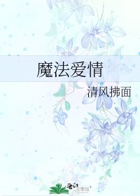 魔法愛情