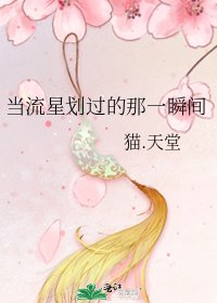 《當流星劃過的那一瞬間》