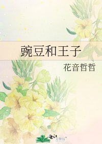 豌豆和王子