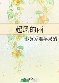 起風的雨