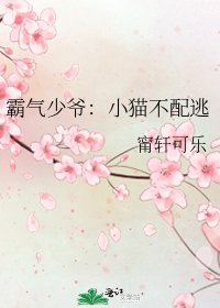 霸氣少爺:小貓不配逃