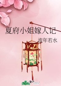 夏府小姐嫁人記