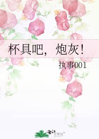 《杯具吧,炮灰!》