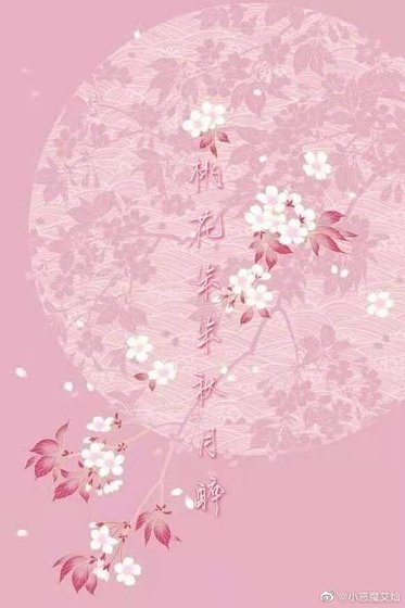 《桃花朵朵秋月醉》