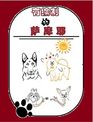 《有編制的薩摩耶》