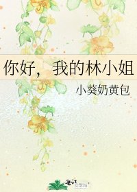 你好,我的林小姐