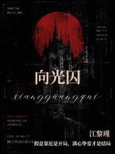 《向光囚》