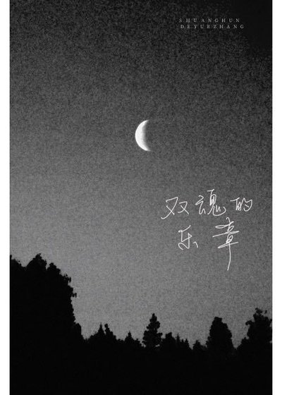 雙陨的樂章