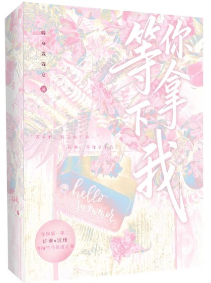 等你拿下我