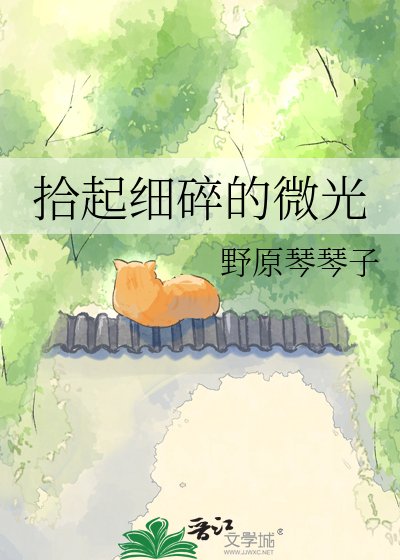 《拾起細碎的微光》