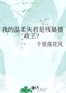 我的溫汝夫君是殘毛攝政王?
