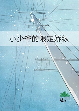 小少爺的限定嬌縱