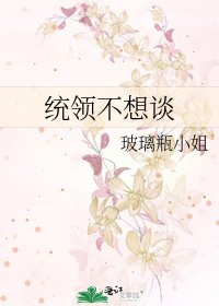 統領不想談