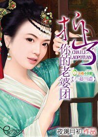 小妾當蹈:拆了你的老婆團
