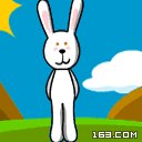 狗狗&貓貓