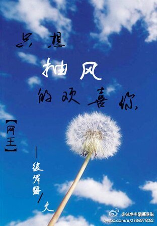 (網王同人)只想抽風的喜歡你