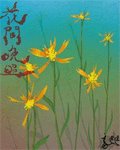 花間晚照