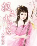 極品小皇欢